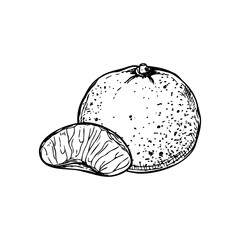 Whole tangerine and one peeled slice vector isolated illustration painted by black inks. Sweet ripe citrus etching drawing. Hand drawn mandarin fruit for mulled wine decor, recipes, poster