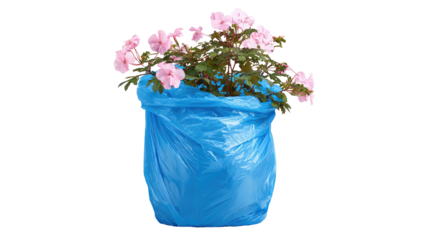 A vibrant bush of pink flowers bursts from a bright blue, transparent plastic bag