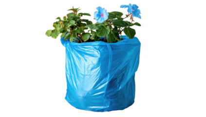 A vibrant blue plastic-wrapped planter filled with lush green foliage and delicate blue flowers
