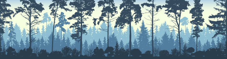 Fototapeta premium Seamless coniferous winter forest background. Pine, spruce, fir, christmas tree. Nature, landscape. Fog evergreen coniferous trees. Silhouette vector illustration