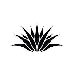 A striking black silhouette of an agave plant on a white background © motiur vector artist