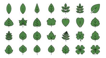 Collection of various green leaves on white background, showcasing different shapes and types in a flat lay composition.