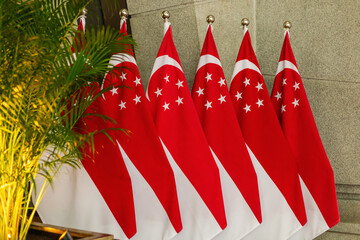 Several Singapore flags stand in a row at a local event in IMG, Singapore. The flags are arranged...