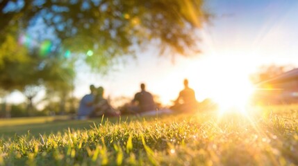 Friends gather on grass under sun at park during warm afternoon