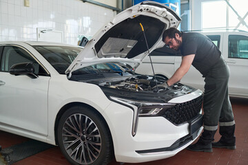 Fototapete bei efototapeten.de bestellen   