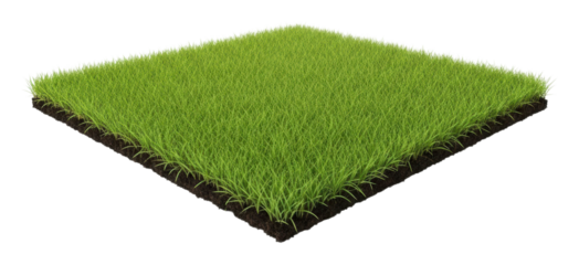 Harvesting lush green grass turf space nature scene sky isolated on transparent background