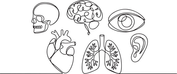 One line human organs. Minimal skull, brain and heart. Vision eye, hearing organ ear and lungs.one line vector illustration with white background © MstMoushumi
