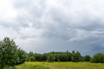 Obraz premium Dark storm clouds over green meadow landscape with trees, dramatic sky before rain, rural countryside nature scene