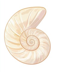 Obraz premium Elegant Nautilus Shell Isolated on White Background