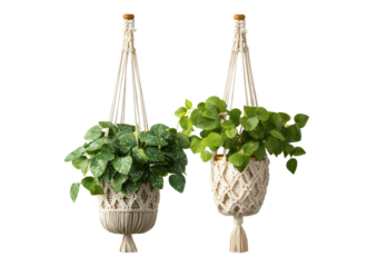 Two hanging planters with lush green foliage, white macrame, wood accents, and dark background