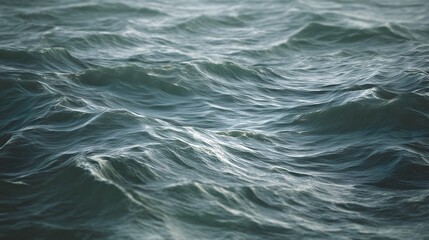 Fototapeta premium Choppy lake surface with wind-driven waves