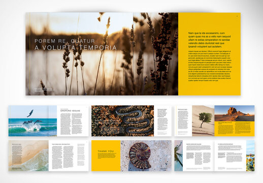 Nature Editorial Magazine