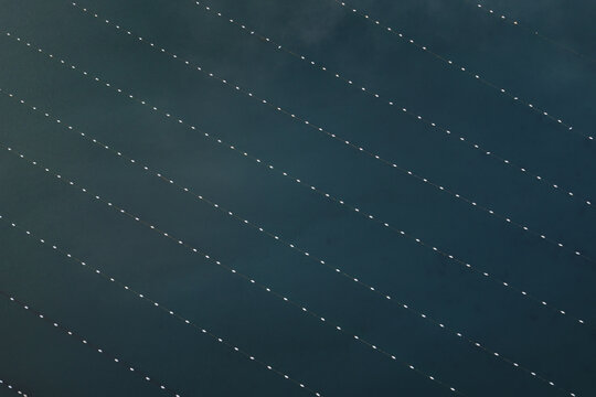 Aerial view of tranquil, deep blue waters crisscrossed by neat rows of white buoys creating striking geometric patterns, Fusaro Lake, Bacoli, Campania, Italy.