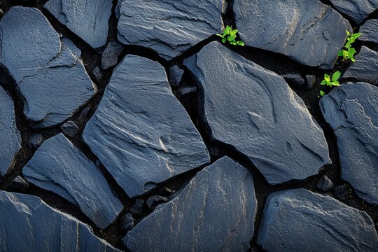 Fragmented Stone Surface Featuring Emerging Green Sprouts Amidst Interlocking Rock Tiles Outdoors