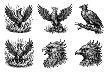 Fototapeta premium Intricate phoenix and eagle designs in vintage style with detailed linework