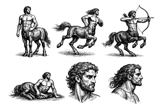 Mythical centaur in engraved style: various poses and expressions