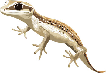 Gecko Vector Side View Reptile
