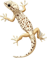 Gecko Vector Side View Reptile
