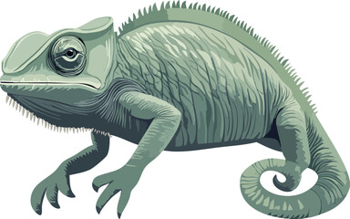 Chameleon Vector Side View Reptile