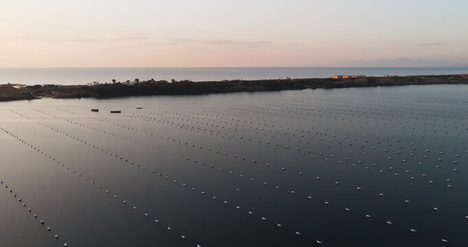 Aerial view of the mussel farm in Fusaro Lake, with rows of buoys creating patterns on the dark waters, Fusaro Lake, Campania, Italy.