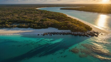 Aerial view of a serene tropical beach with lush greenery and calm waters at sunset