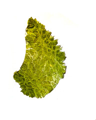 moldavite mineral isolated