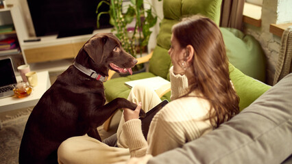 Woman using tablet with dog on sofa in modern living room. Concept of remote job advertising, online services promotion, digital lifestyle marketing and pet friendly home usage.