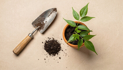 Celebrating Ugadi with plants and soil on a flat surface in India