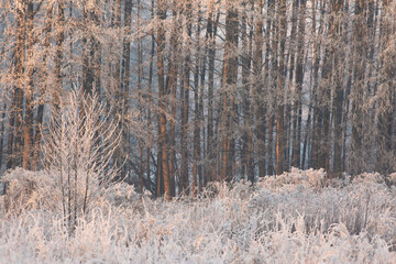 Piękna zima w naturze, mroźny i cichy pejzaż. © mycatherina