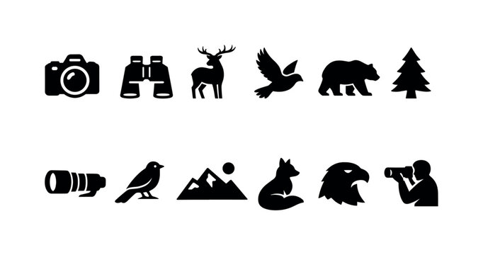 Set of outdoor adventure silhouettes including camera, binoculars, deer, bird, bear, pine tree, lens, mountains, fox, eagle, and photographer