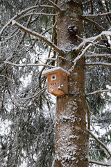 Wooden birdhouse on a snowy tree in a forest. Close up, looking up shot, no people
