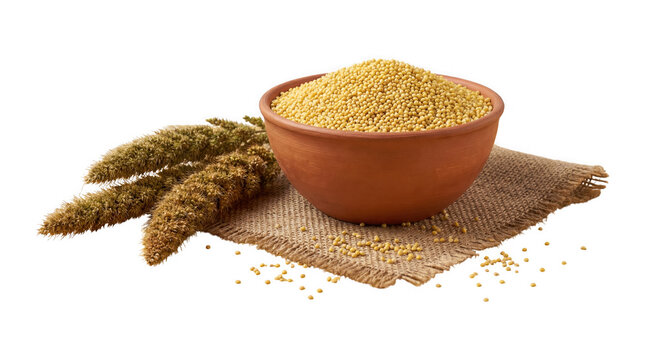Bowl of millet grains with foxtail millet sprigs on burlap, isolated on transparent background