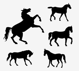 Horses. Silhouette horse collection - vector illustration