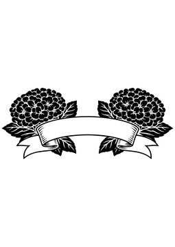 Two hydrangea flowers with ribbon vector line art, black and white botanical illustration for engrave, laser engrave, prints and decor