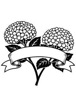 Two hydrangea flowers with ribbon vector line art, black and white botanical illustration for engrave, laser engrave, prints and decor