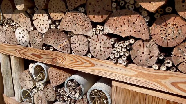 Wide view of a wooden insect hotel filled with drilled logs, bamboo tubes and nesting cavities, showing biodiversity support and eco-friendly garden habitat for pollinators.