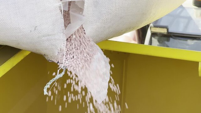 Close-up of seeds being poured into a planter hopper for future sowing. Agricultural detail showing preparation for planting and the start of a new growing cycle.