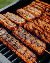 Grilling delicious barbecue skewers at outdoor summer cookout backyard food