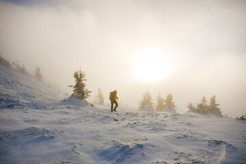 Hiking in winter. Hiker walking on snowy mountain ridge during misty sunset. Man trekking in extreme terrain and cold weather