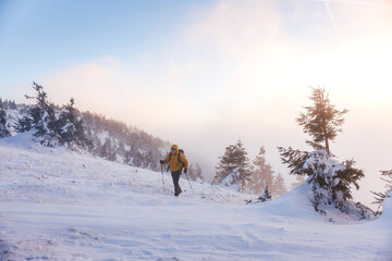Tourist with hiking poles walking in snow at mountain sunset. Winter adventure on trekking trail. Explorer wearing yellow jacket in cold weather