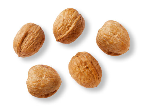 Waln&uuml;sse