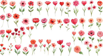 Vibrant watercolor tulips in various colors on white background