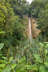 A lush green forest with a waterfall in the background at Ribeira Quente, Azores.