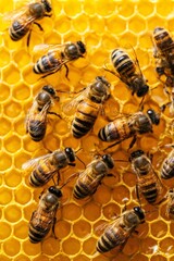 Honeybees working on a golden honeycomb, forming part of a busy colony in a natural environment