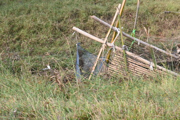 A traditional bamboo and mesh fishing trap is set in a narrow, flowing stream. The structure uses slanted bamboo poles to funnel water and fish into a fine blue net. Sustainable fishing method.