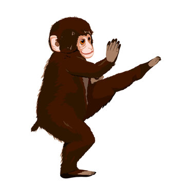 Baby monkey with Karate pose