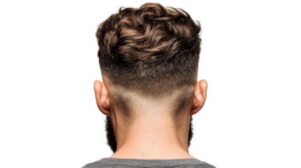 Man with stylish taper fade haircut and beard from behind isolated on white background