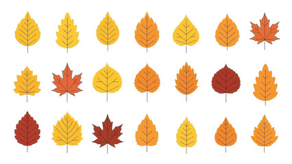 Autumn leaves collection in shades of yellow orange and red on white background