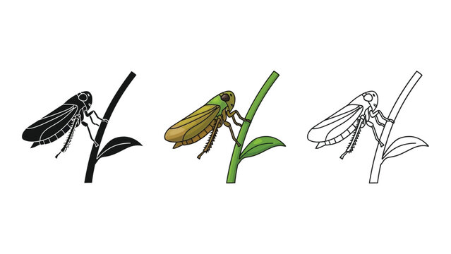 Set of three leafhopper insect illustrations on a plant stem in silhouette, color, and outline styles