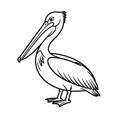 Fototapeta premium A pelican bird illustration vector style coloring page 